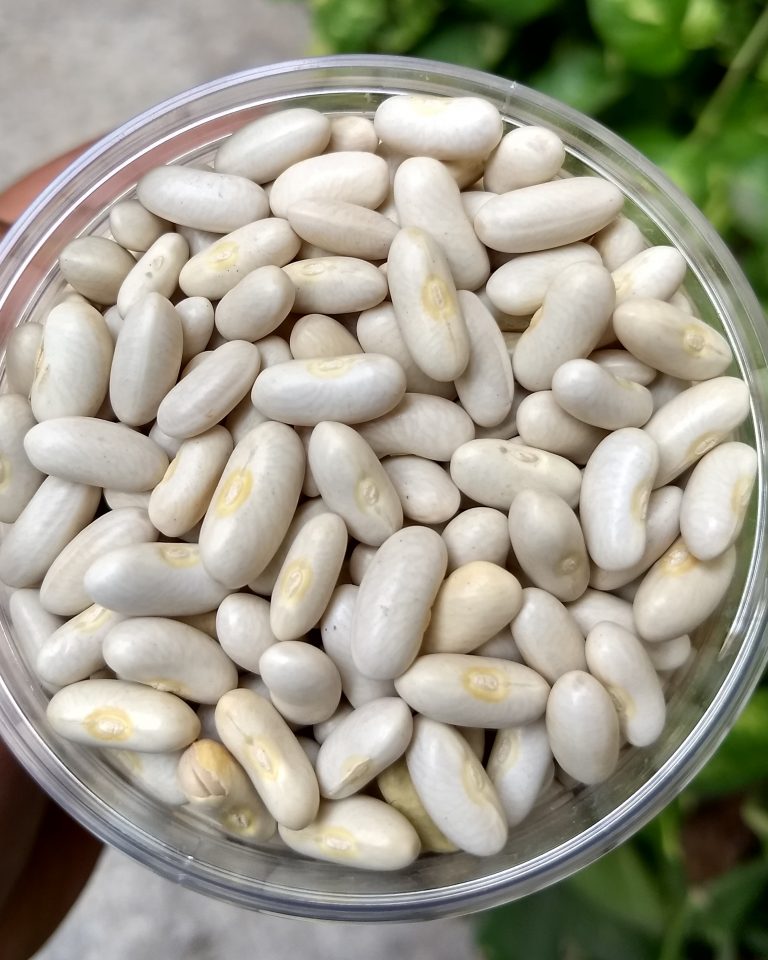 White Rajma White Kidney Beans Masala Monk
